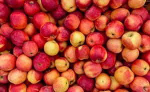 Äpfel essen trotz Apfelallergie