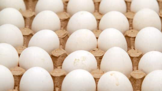 Histaminarme Alternativen für Eier