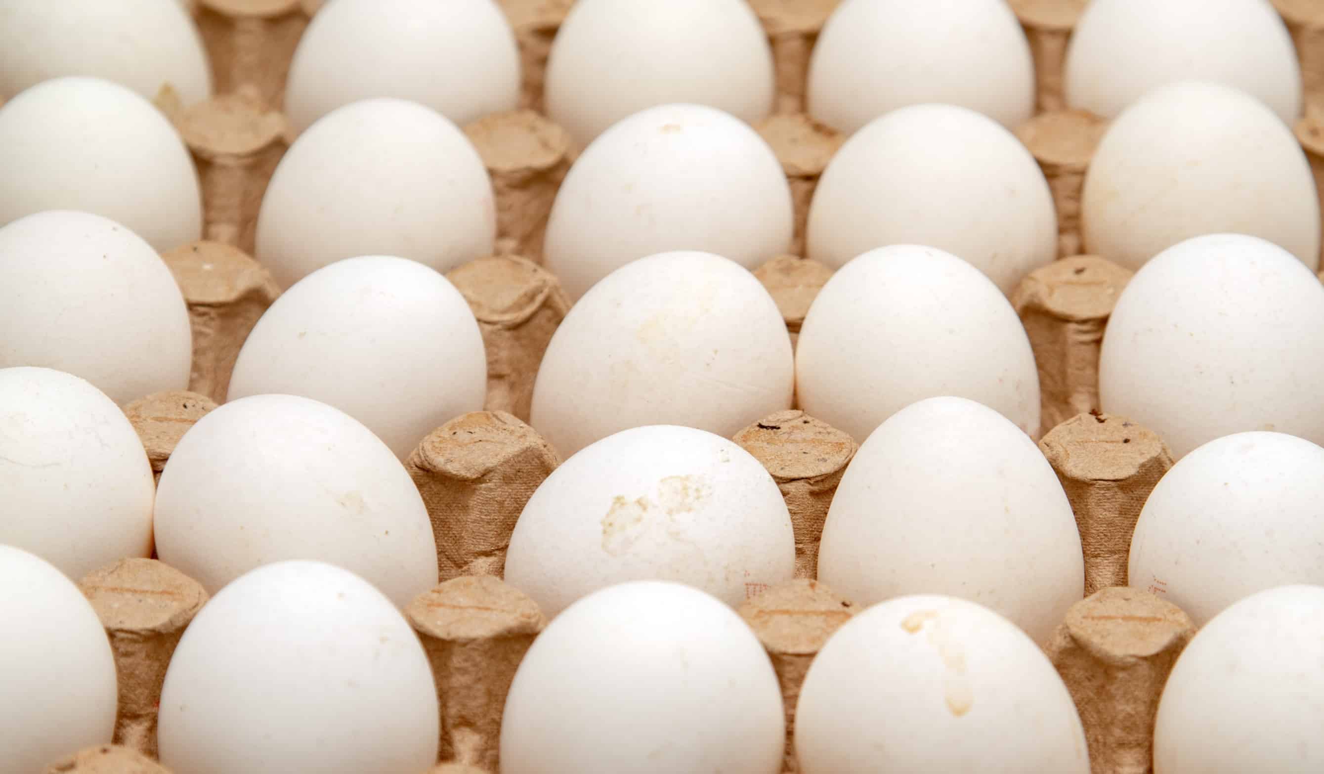 Histaminarme Alternativen für Eier